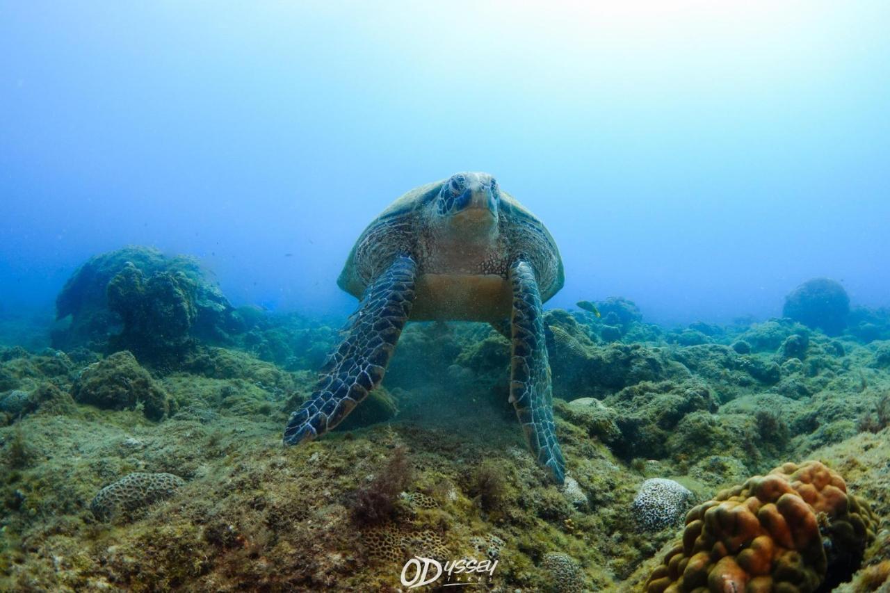Odyssey Divers Hostel Xiaoliuqiu Dış mekan fotoğraf